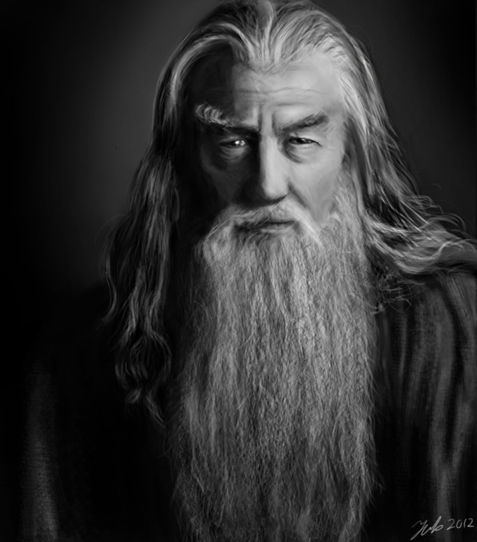 Gandalf the gray portrait