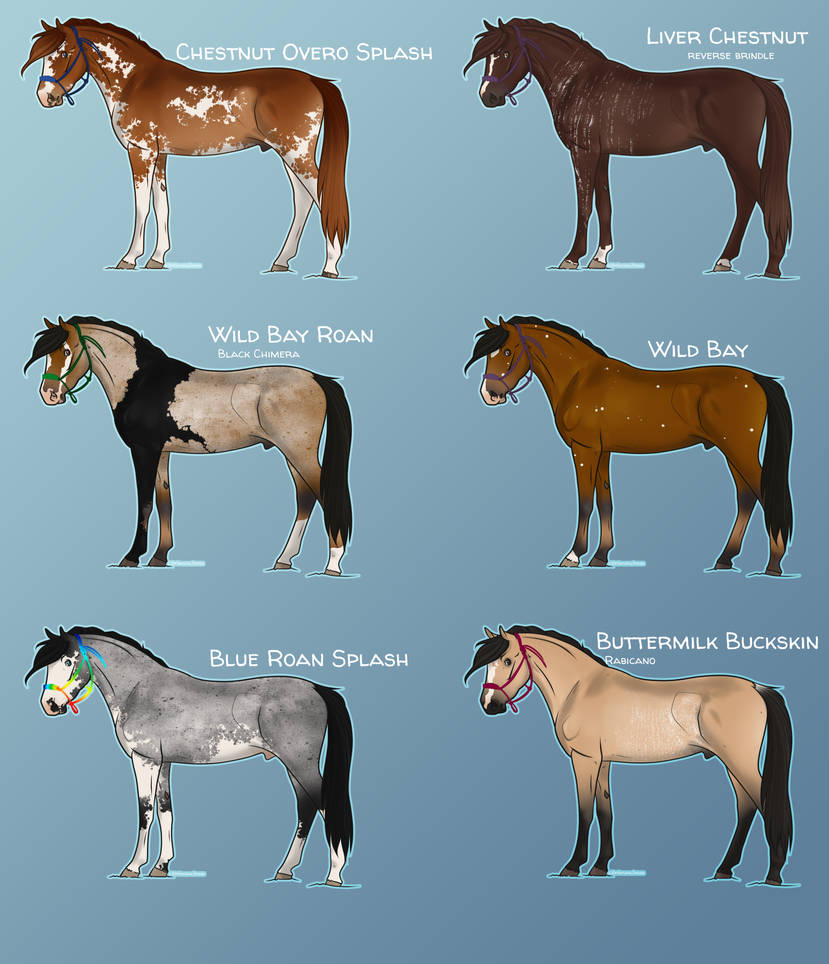Blue Roan Chimera No.3