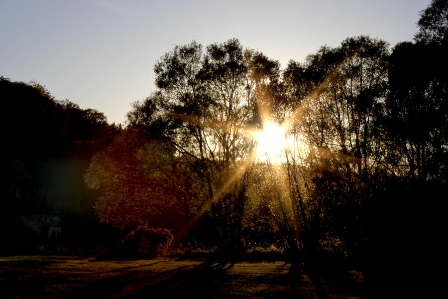 When The Sun Became A Star