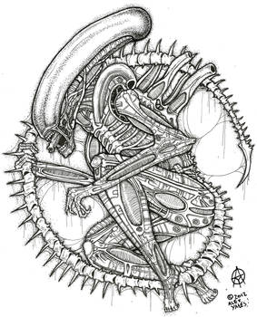 the xenomorph