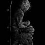 Still in the emptiness and silence