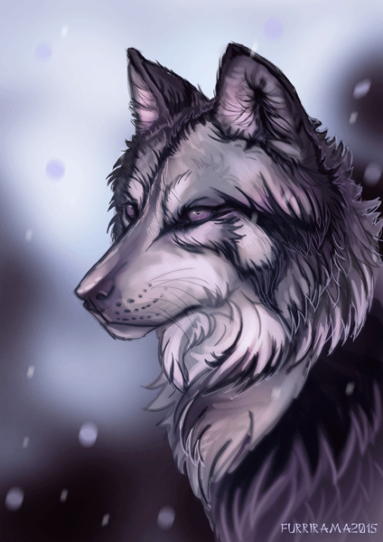 Wolf [gif]