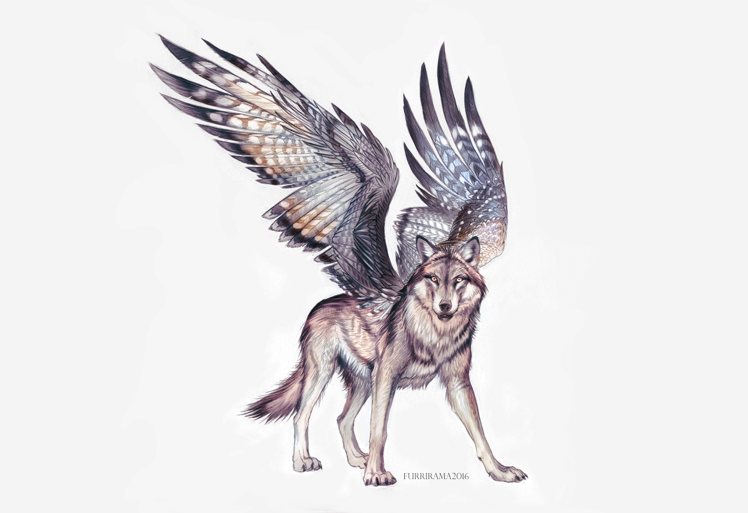 Falcon Wolf (closed)