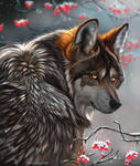 Winter Wolf by Furrirama