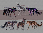Closed! Maned Wolfpack Adopts 19