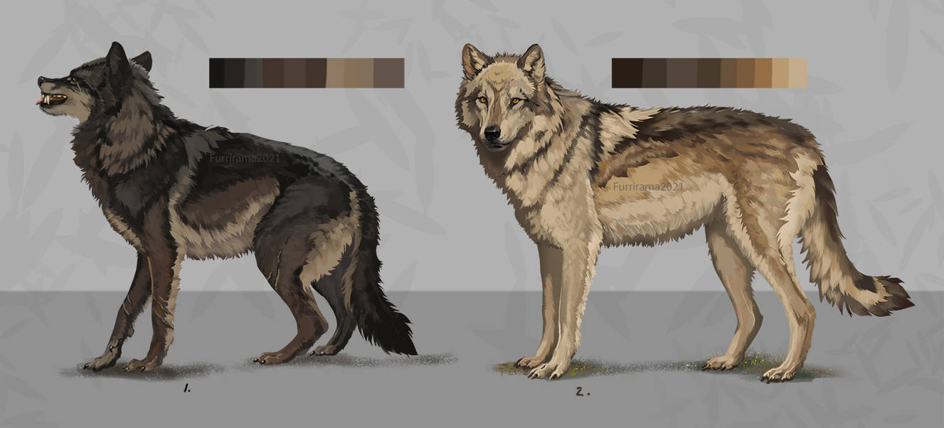 CLOSED. Wolves Adopts. by Furrirama on DeviantArt