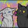 Graystripe x Silverstream