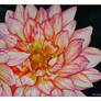 Dahlia watercolor 2