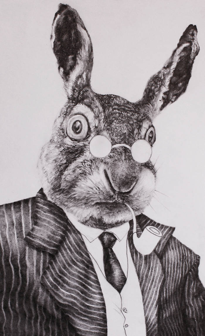 Mister Rabbit by elartistadesconocido on DeviantArt