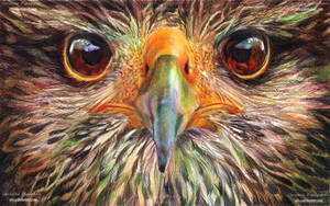 Eagle - Ballpoint pens