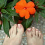 Toes and Flowers