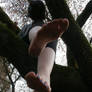 Barefoot in a Tree