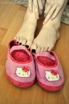 Kawaii Slippers Two