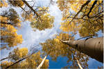 Fall Perspective by tourofnature