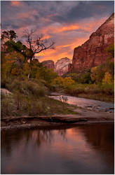 Zion Country
