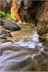 Narrow's Flow by tourofnature