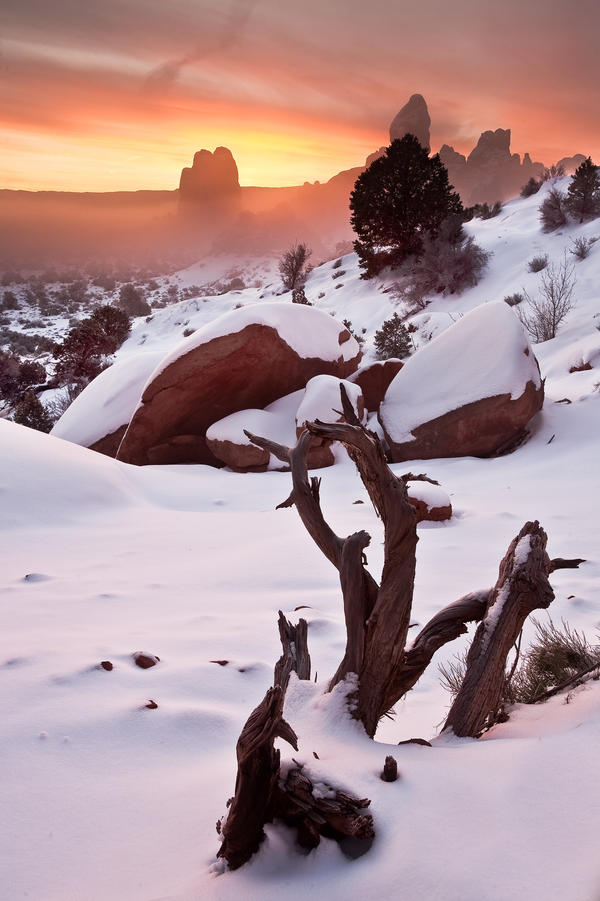 Snow, Fog, and Arches- Contest