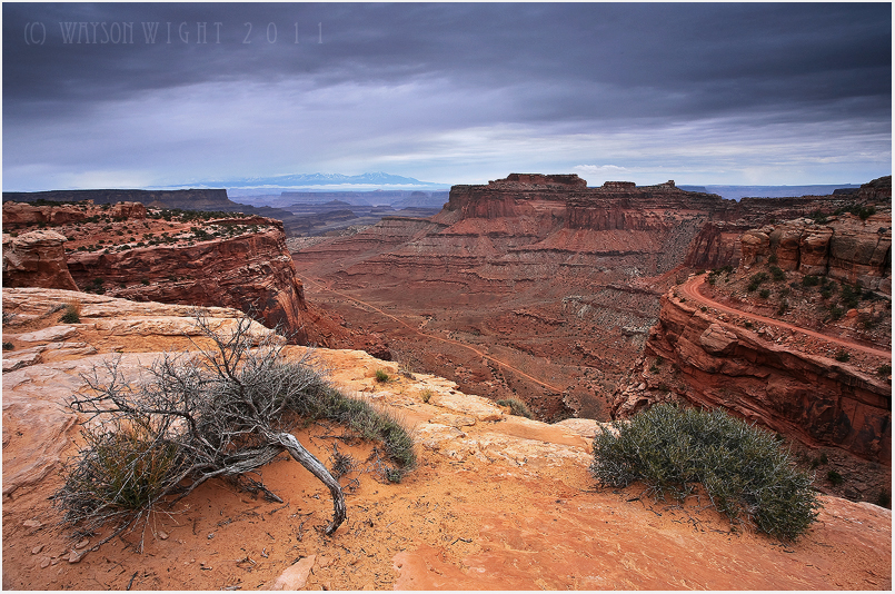 They Call it Canyonlands