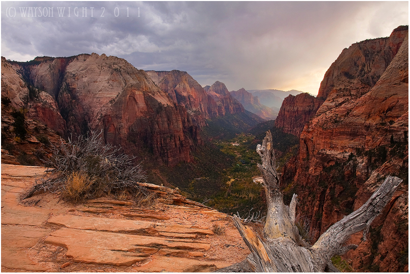 Zion's Grandeur