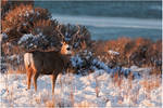 Camouflage by tourofnature