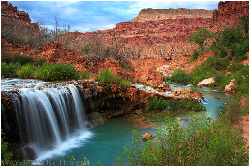 Desert Oasis