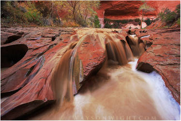 Canyon Flow by tourofnature