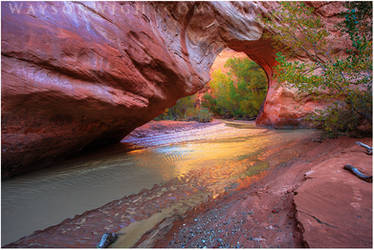 Coyote Natural Bridge by tourofnature