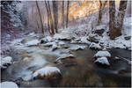 Winter Glow by tourofnature