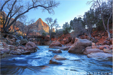 Zion in Winter