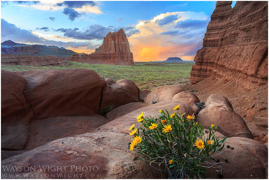 Cathedral Valley