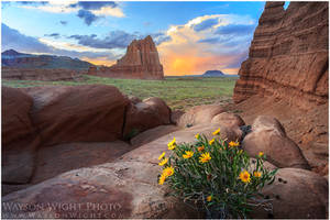 Cathedral Valley by tourofnature