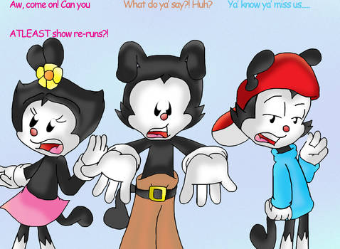 Animaniacs randomness