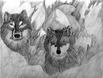 wolves