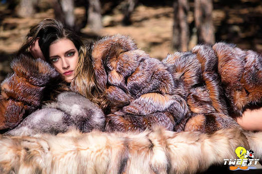 Kristen Stewart in fox fur coat