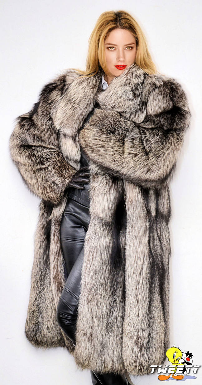Amber Heard in fox fur coat by Tweety63 on DeviantArt