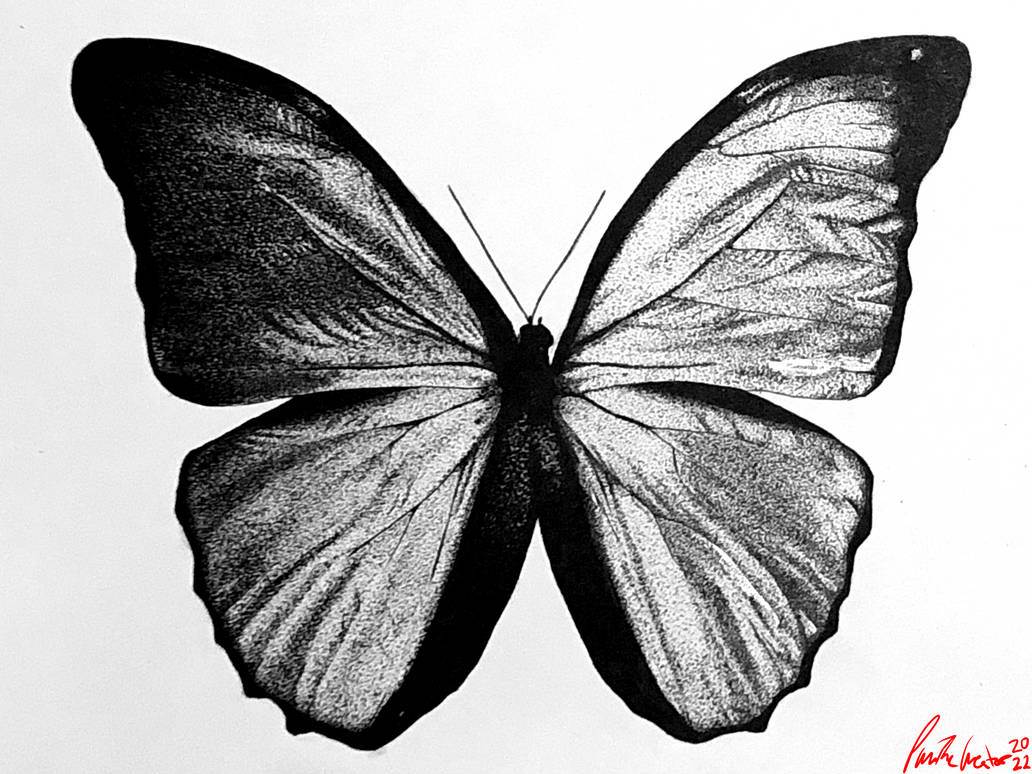 Butterfly pointillism (ink art) by PamTheCreator on DeviantArt