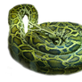 Snake pNG