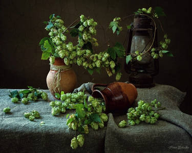 With fragrant hops