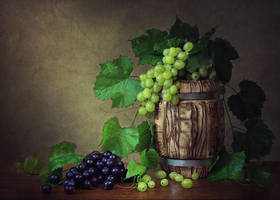 Season of grapes