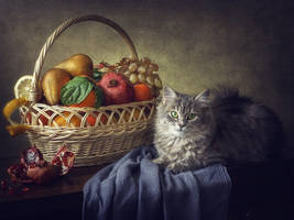 Masyanya and fruit basket
