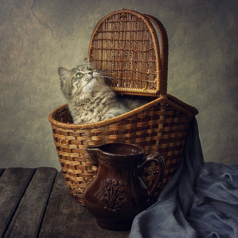 Masyanya in a basket