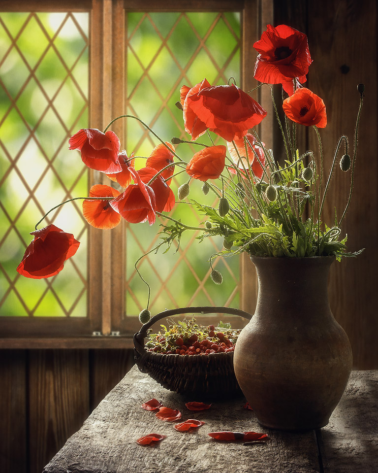 Sunny poppies