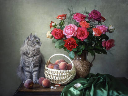 Masyanya, peaches and bouquet roses