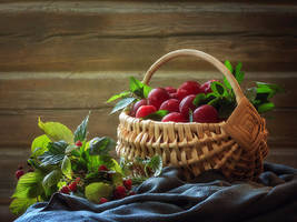 Summer Harvest