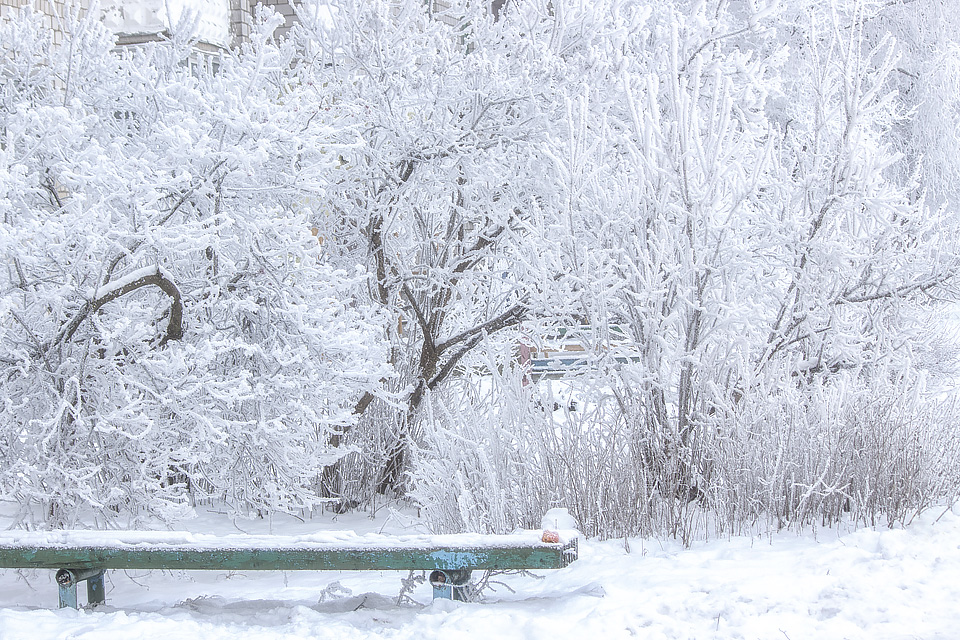 Winter fairy tale in Belarus