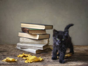 Little black schoolgirl