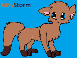 KittyStorm