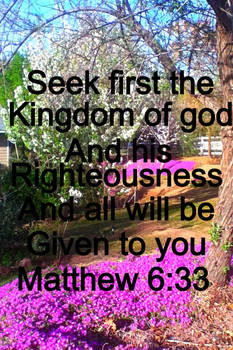 Matthew 6:33