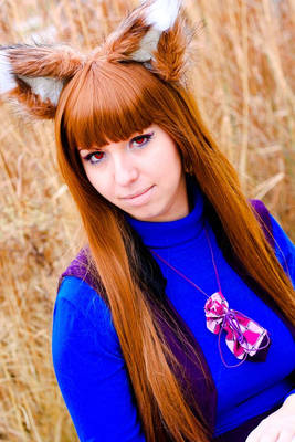 Spice and wolf Horo