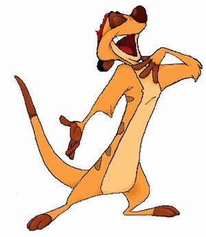 Timon